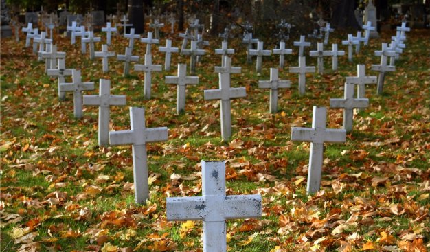 Zdjęcie cmentarza. Liczne białe krzyże wystające z ziemi układają się w kształt trójkąta. Trawa obsypana jest liśćmi w jesiennych kolorach żółci i pomarańczu.