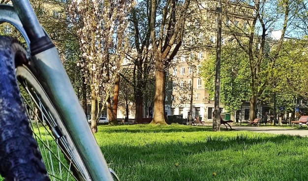Zdjęcie, na którym widać fragment rowerowego koła, w tle park, a za parkiem, między gałęziami drzew prześwitujący blok mieszkalny.
