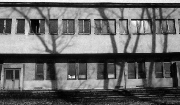 Czarno-białe zdjęcie. Widok na ścianę budynku z oknami. Padające na nią cienie drzew.