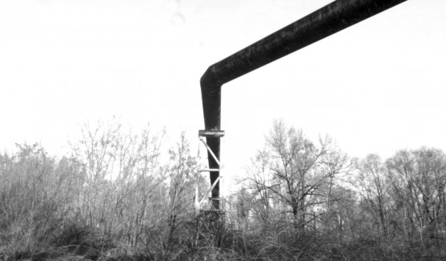 Czarno-białe zdjęcie rury zawieszonej nad wysokimi trawami.