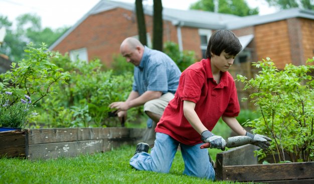 Na zdjęciu chłopiec ze starszym mężczyzną sadzący rośliny na grządkach