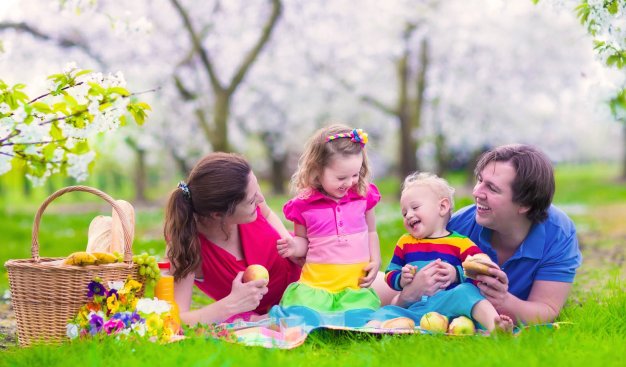 Zdjęcie roześmianej, czteroosobowej rodziny podczas pikniku na łonie natury