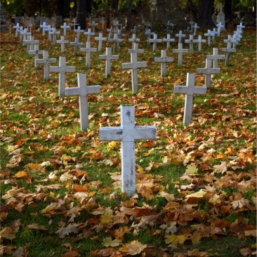 Zdjęcie cmentarza. Liczne białe krzyże wystające z ziemi układają się w kształt trójkąta. Trawa obsypana jest liśćmi w jesiennych kolorach żółci i pomarańczu.