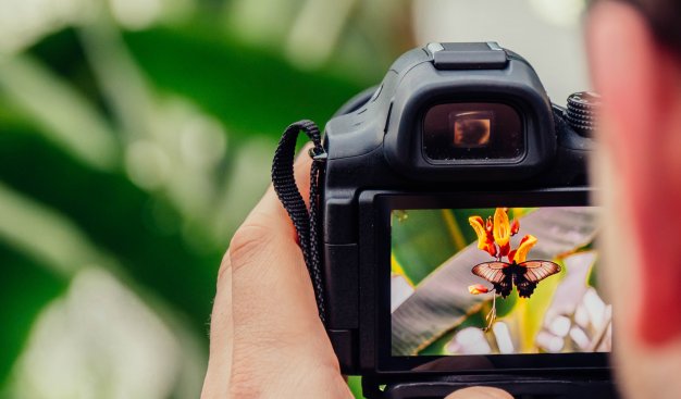 Na zdjęciu osoba robiąca zdjęcie kwiatka aparatem fotograficznym